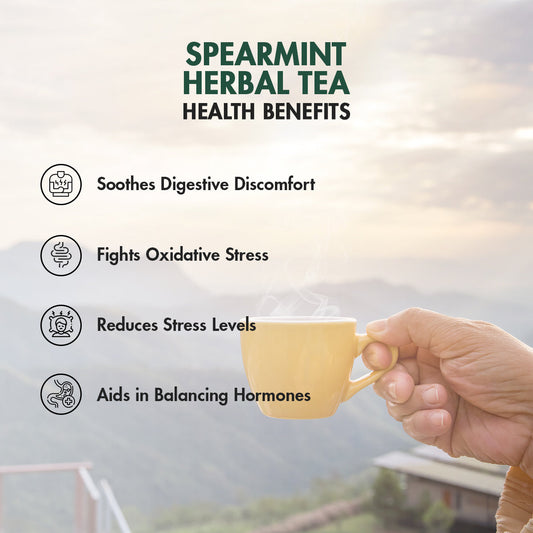 PURE SPEARMINT TEA - Sorich