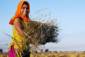 Our Role in Regenerating India Locally And Organically - Sorichorganics