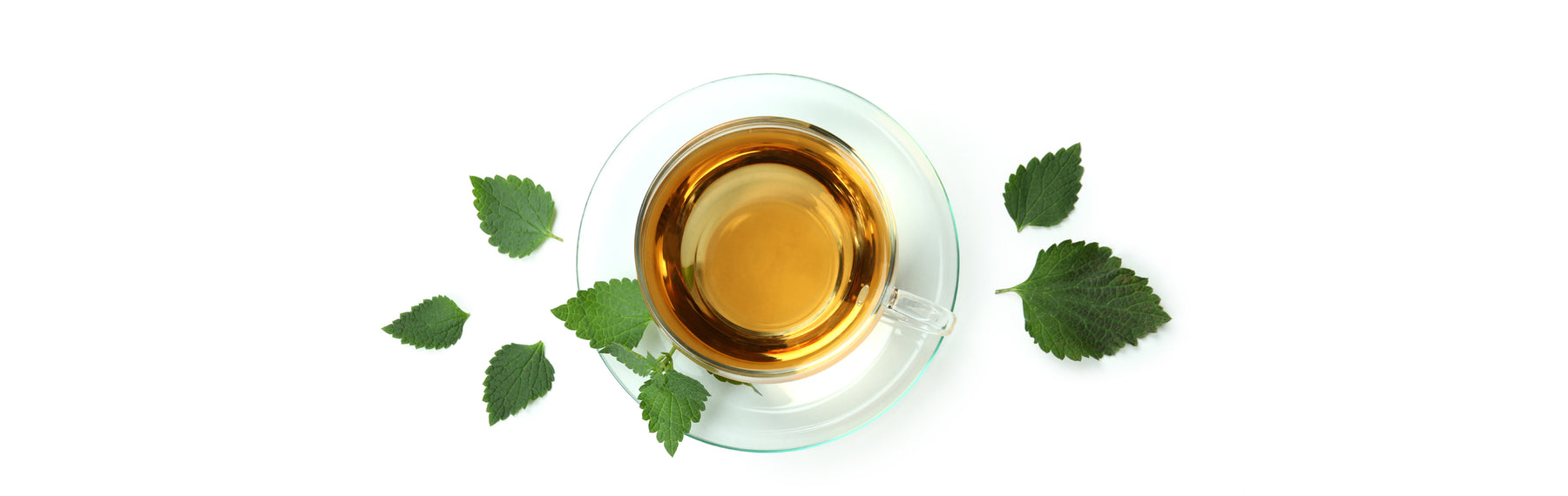 Why Nettle Tea Is Called Best Herbal Tea? Know its Benefits - Sorichorganics