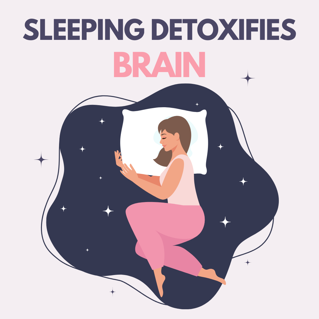 SLEEPING DETOXIFIES YOUR BRAIN - Sorich