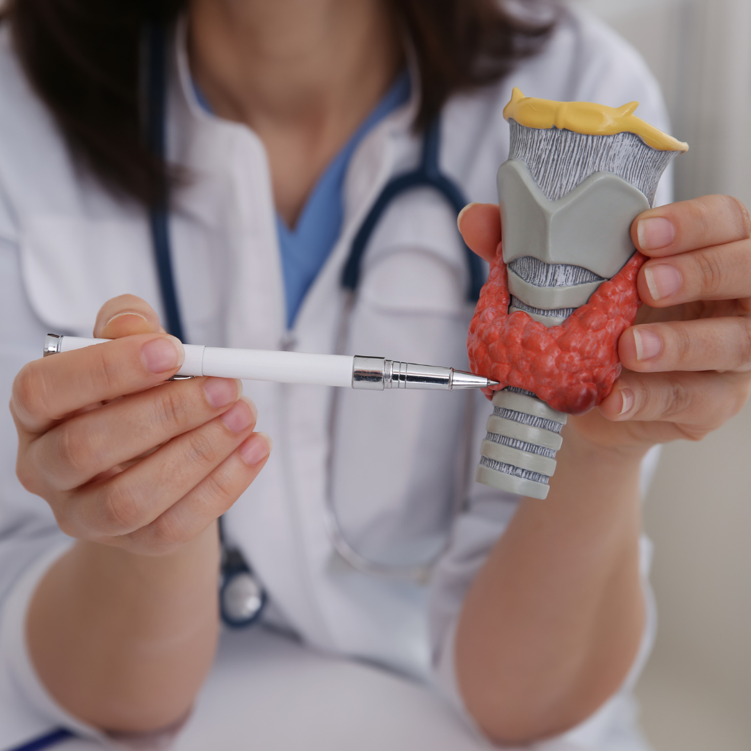 How To Get Your Thyroid To Work Correctly