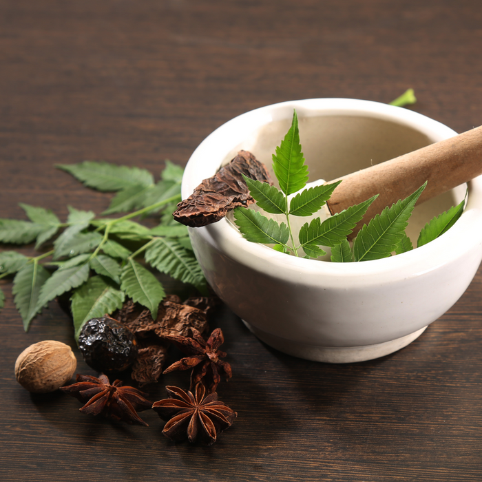 Importance of Ayurveda & Ayurveda Based Products in Keeping You Healthy - Sorich