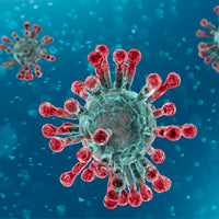 Coronavirus disease (COVID-19): Frequently Asked Questions - Sorichorganics