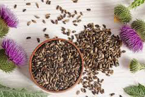 6 Reasons Why You Need Milk Thistle in Your Life - Sorichorganics