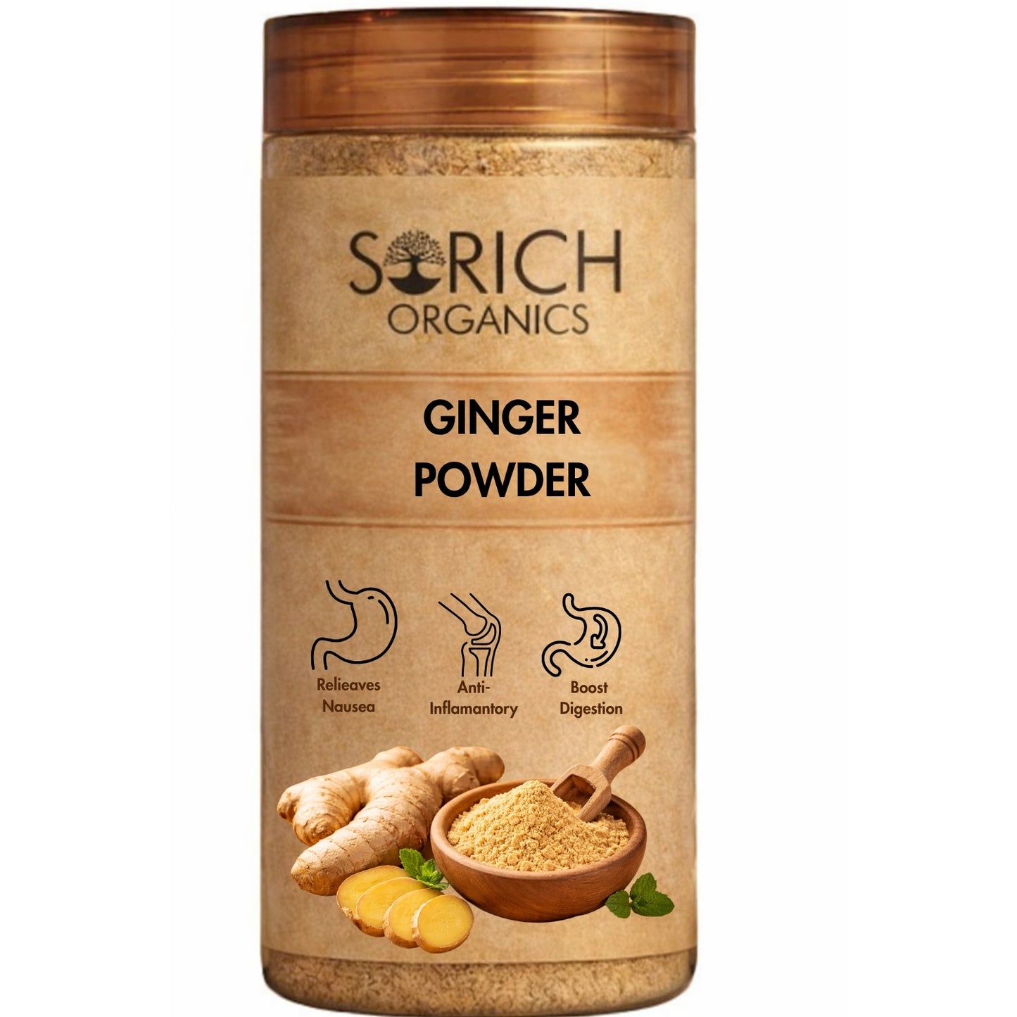 Sorich Organics Dry Ginger Powder (Sonth) 100g – Pure Adrak Powder for Tea, Kadha & Cooking