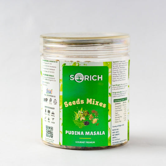 Pudina Treat Seeds Mix