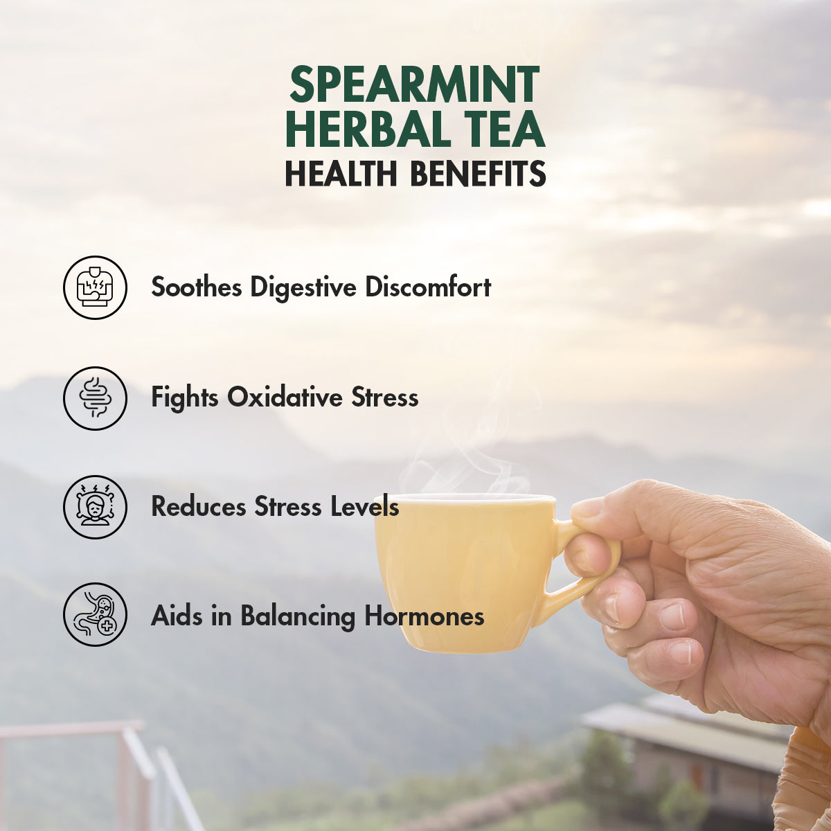 PURE SPEARMINT TEA - Sorich