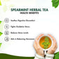 Spearmint Herbal Tea