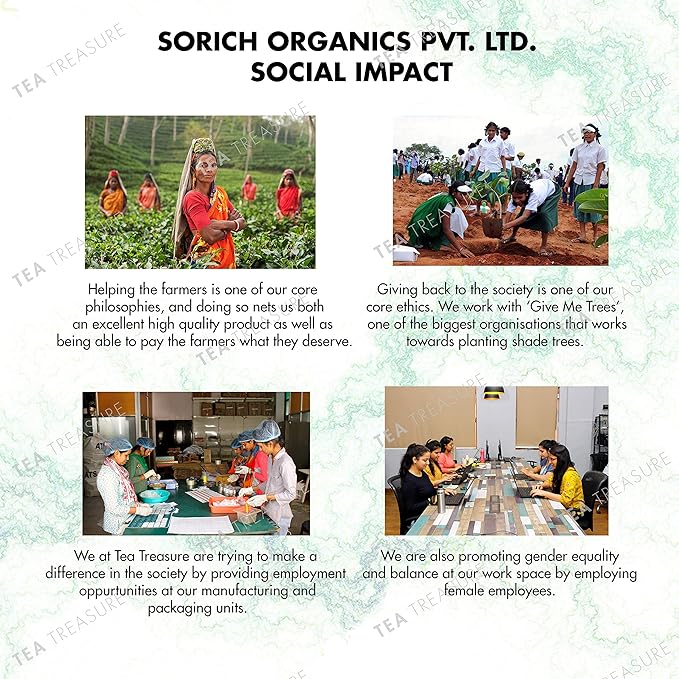 Tea Treasure Hibiscus Flower Tea 100g | 100% Natural Dried Hibiscus Petals | Caffeine-Free Herbal Tea | Pure Herb | For Immunity, Digestion & Detox