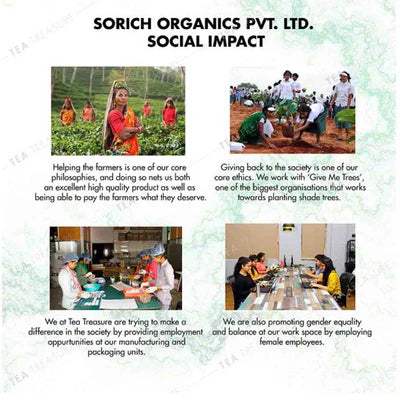 Berry Blast Fruit Tea