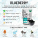 dried blueberries nutrition