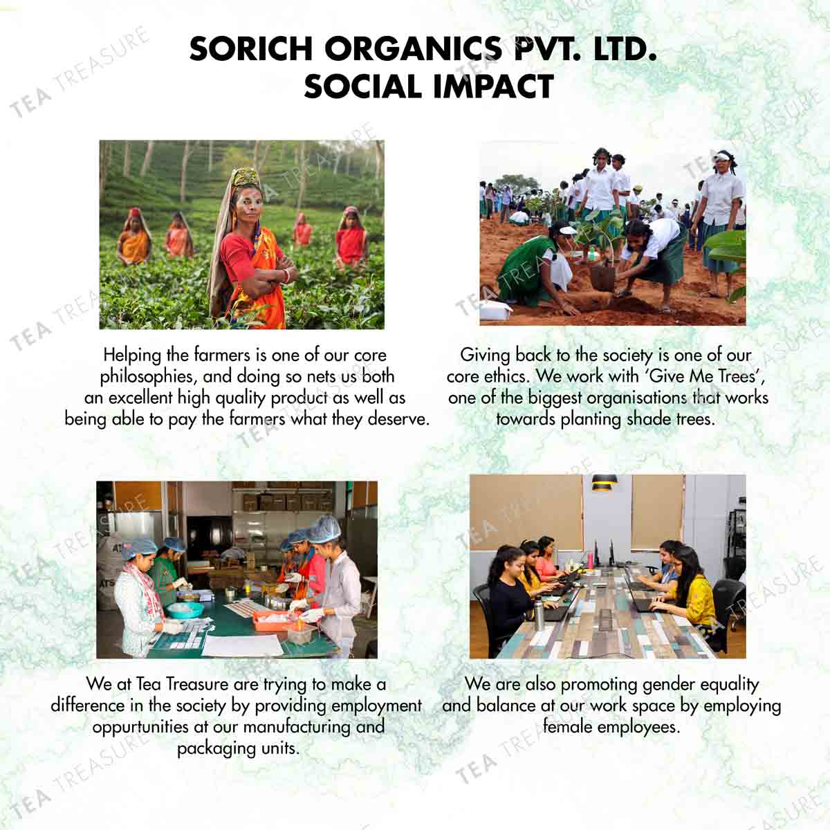 sorich organics super green tea