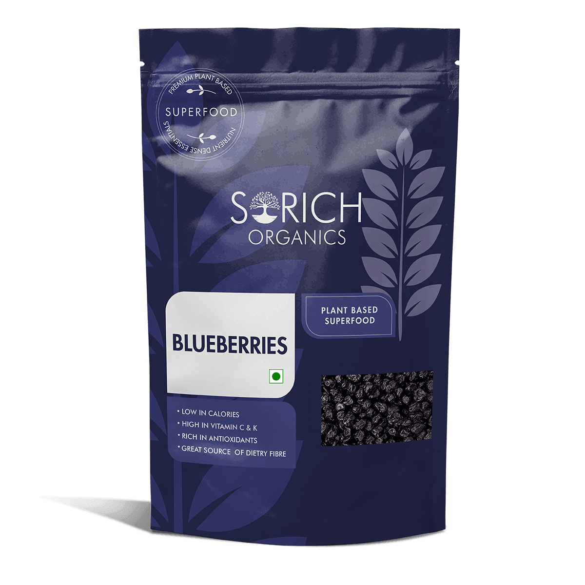 dried blueberry