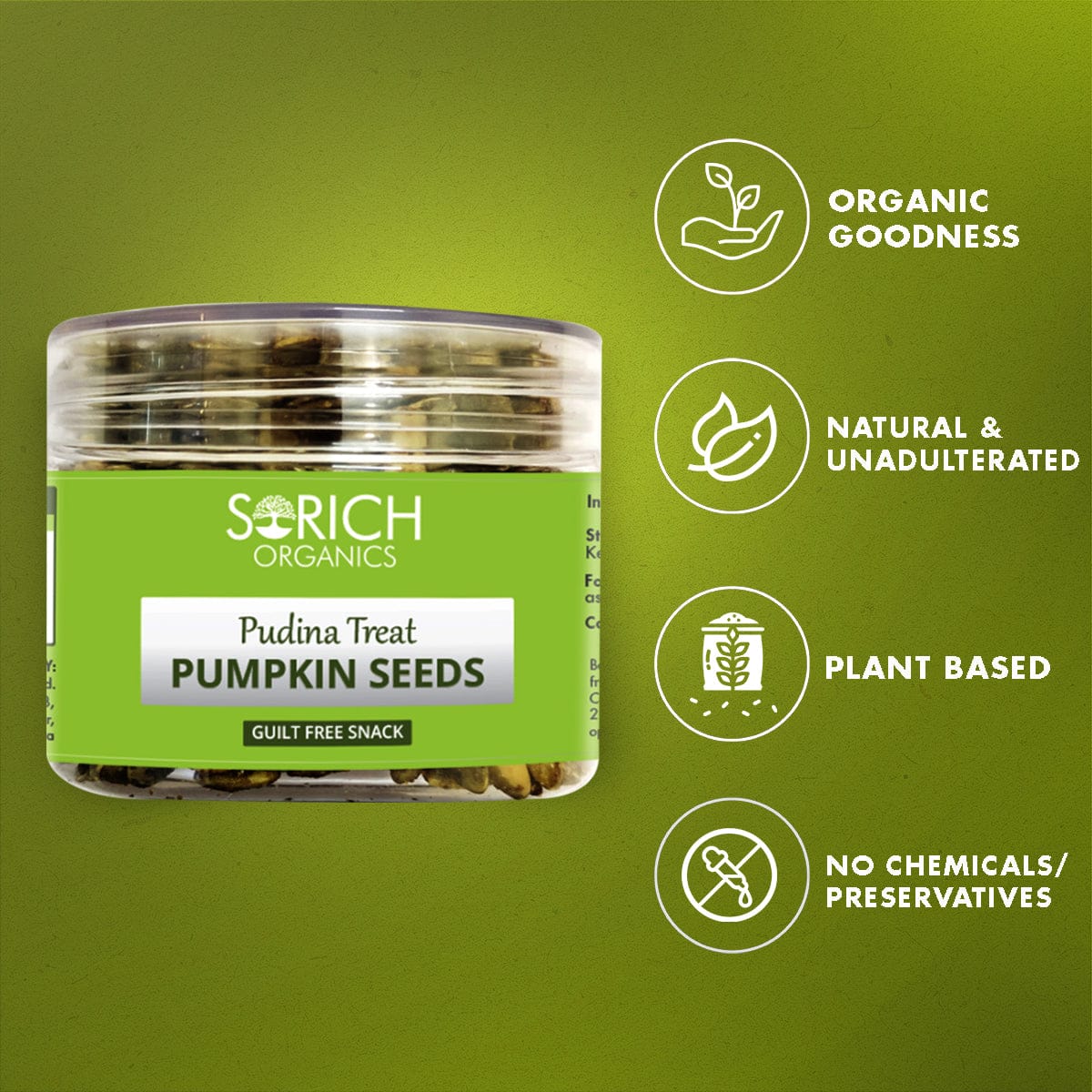  pudina pumpkin seed health benefits